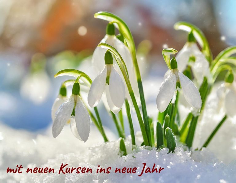 Schneeglöckchen im Schnee und Schriftzug "mit neuen Kursen ins neue Jahr"